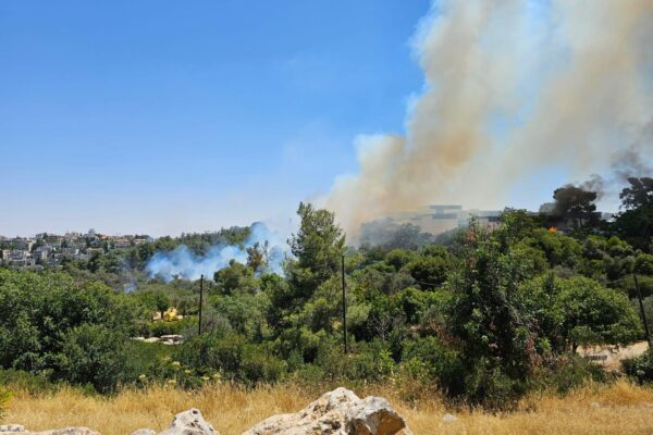 השריפה בעמק המצלבה שהתפשטה למוזיאון ישראל (צילום: כבאות והצלה לישראל)