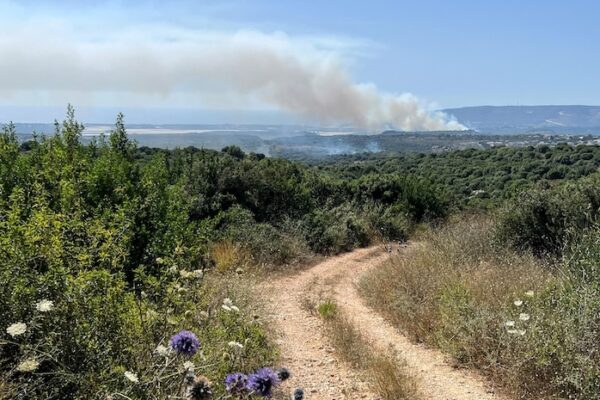 עשן בעקבות תקיפות צה״ל בדרום לבנון (צילום: REUTERS/Avi Ohayon)