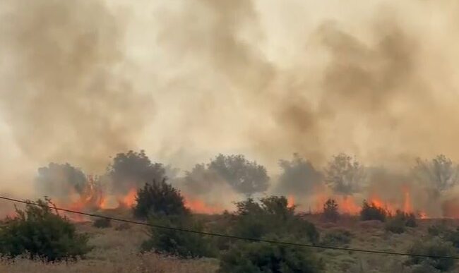 שריפה ביער מירון (צילום: כבאות והצלה)