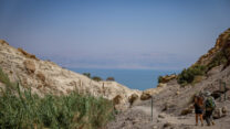 שמורת הטבע עין גדי (צילום ארכיון: חיים גולדברג/פלאש90)