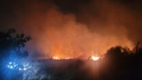 שריפה בנחל הבניאס (צילום: שאדי דעבוס, רשות הטבע והגנים)