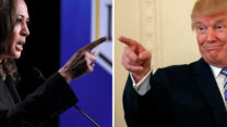 דונלד טראמפ וקמלה האריס (צילומים: AP Photo/Alex Brando, AP Photo/Mark J. Terrill)
