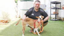 זאב קראוטהמר והכלב בולט (צילום: סוניה גרשפט)