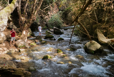 מטיילים בנחל הבניאס (צילום: מיכאל גלעדי/פלאש90)