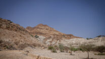 מטיילים במדבר יהודה באוגוסט (צילום ארכיון: חיים גולדברג/פלאש90)