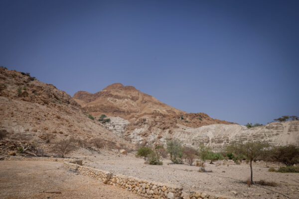 מטיילים במדבר יהודה באוגוסט (צילום ארכיון: חיים גולדברג/פלאש90)