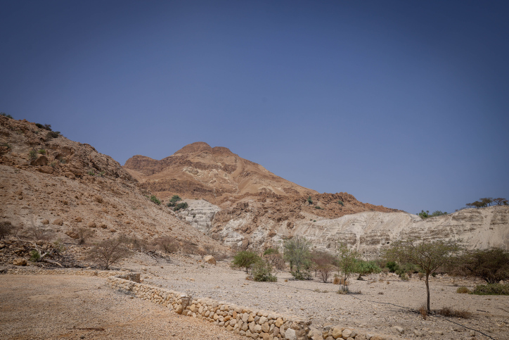 מטיילים במדבר יהודה באוגוסט (צילום ארכיון: חיים גולדברג/פלאש90) מטיילים במדבר יהודה באוגוסט (צילום ארכיון: חיים גולדברג/פלאש90)