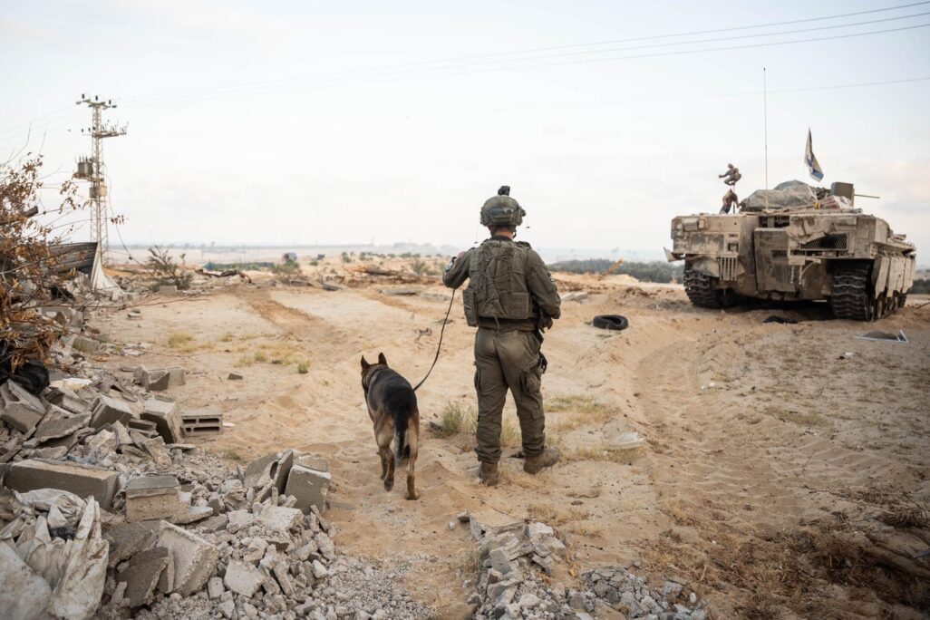 לוחם צה"ל עם כלב גישוש בפעילות ברצועת עזה (צילום: דובר צה"ל) לוחם צה"ל עם כלב גישוש בפעילות ברצועת עזה (צילום: דובר צה"ל)