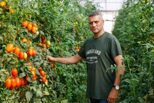 אילן עמר (צילום: לירון מולדבון)