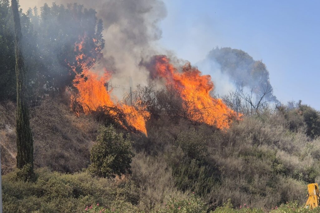 שריפה בדרום עמק החולה בעקבות ירי רקטות מלבנון (צילום: רינה נגילה) שריפה בדרום עמק החולה בעקבות ירי רקטות מלבנון (צילום: רינה נגילה)