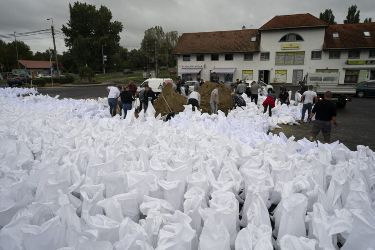 טהיטוטפלו, הונגריה (צילום: AP Photo/Denes Erdos)           
