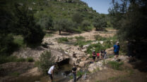 מטיילים בכרמל (צילום: הדס פרוש/פלאש90)