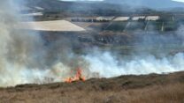 שריפה במרחב אביבים לאחר נפילת רקטה (צילום: שלום ביטון)