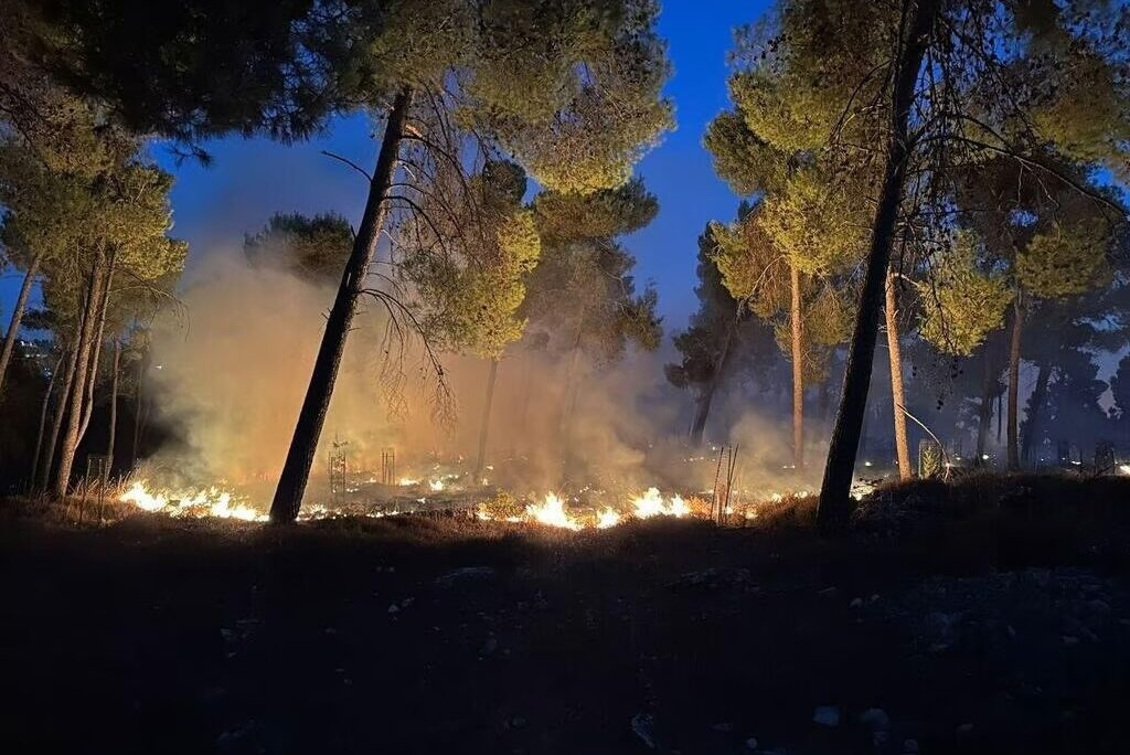 שריפה ביער סמוך למירון (צילום: עובדי ויערני קק״ל) שריפה ביער סמוך למירון (צילום: עובדי ויערני קק״ל)