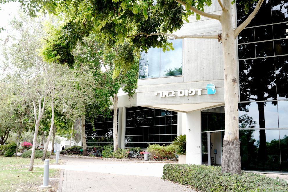 מבנה דפוס בארי, 2024 (צילום: סוניה גרשפט) מבנה דפוס בארי, 2024 (צילום: סוניה גרשפט)