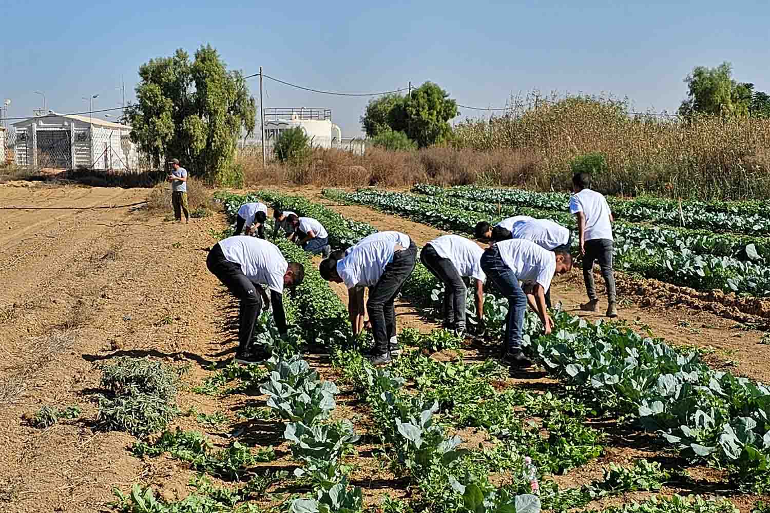 (צילום: אלבום פרטי)