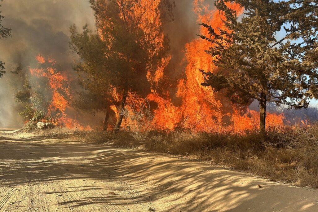 השריפה ביער חורשים (צילום: כבאות והצלה) יער חורשים (צילום: כבאות והצלה)
