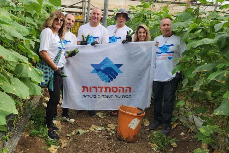 מרחב חיפה 2