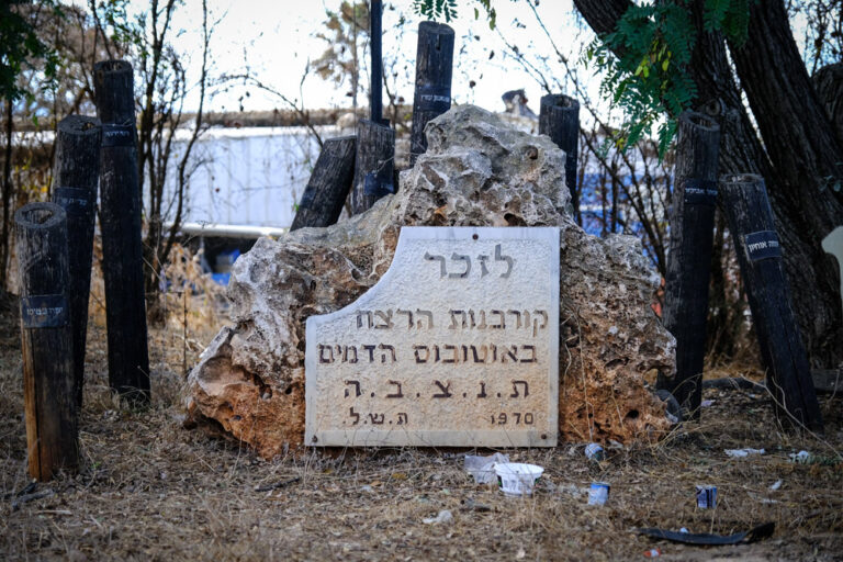 (צילום: דוד טברסקי)