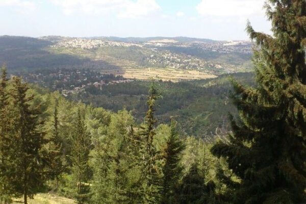 הרי ירושלים (צילום: מכון אבשלום)