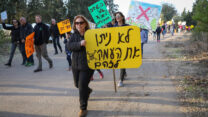 מחאה נגד הקמת שדה תעופה ברמת דוד (צילום ארכיון: ענת חרמוני/פלאש90)