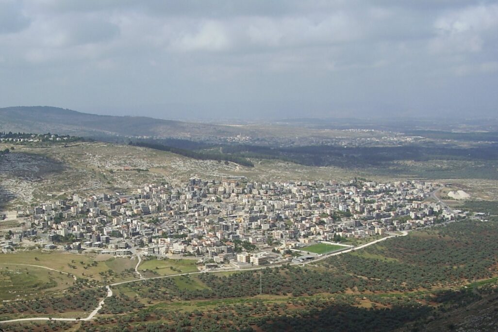 שעב (עיבוד לצילום של Dr. Avishai Teicher Pikiwiki Israel) שעב (עיבוד לצילום של Dr. Avishai Teicher, Pikiwiki Israel)