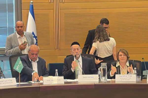 כנס בטיחות בדרכים בחברה הערבית (צילום: דוברות הכנסת)
