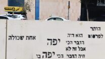 הותר לפרסום (צילום: אלבום פרטי)