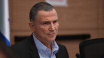 ח"כ יולי אדלשטיין (צילום: אור גואטה)