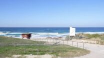 זירת הרצח, ליד החוף באשקלון (צילום: דוברות המשטרה)
