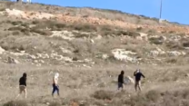 מתנחלים מיידים אבנים בכפר בורין (צילום: בשאר עיד)