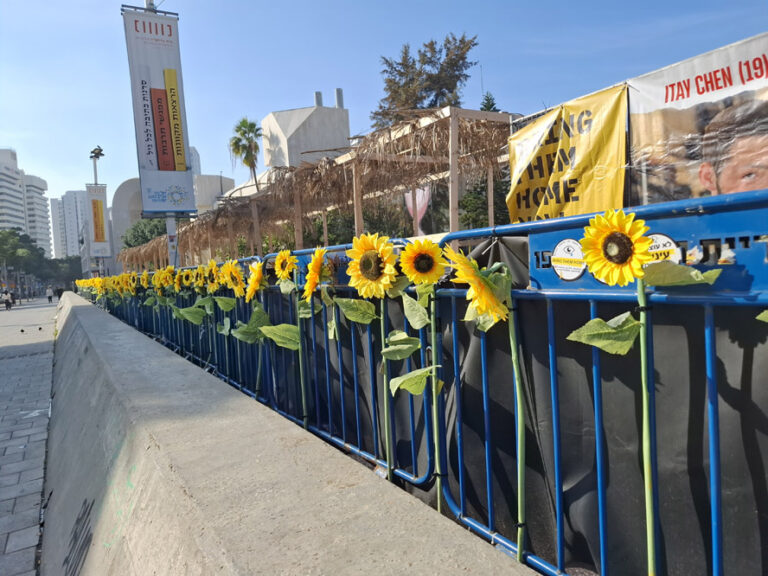 חמניות בכיכר החטופים. אופטימיות זהירה (צילום: הדס יום טוב)