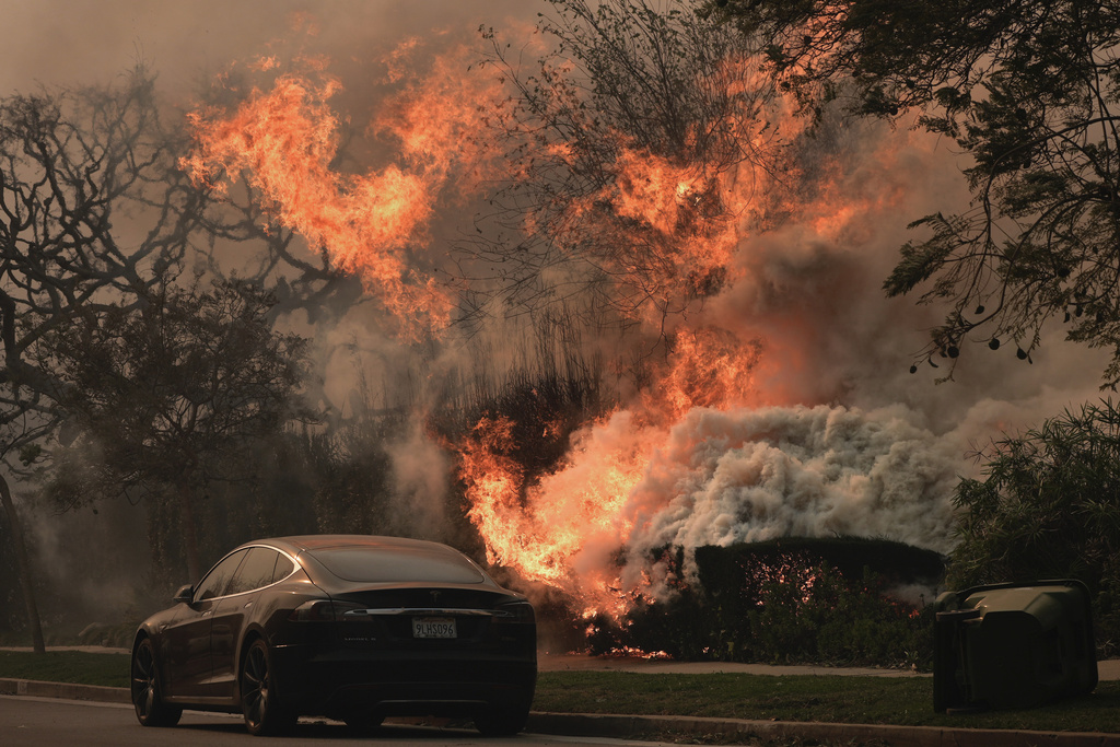 שריפה בפליסיידס, קליפורניה (צילום: AP Photo/Damian Dovarganes) שריפה בפליסיידס, קליפורניה (צילום: AP Photo/Damian Dovarganes)