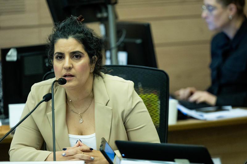 היועצת המשפטית לכנסת, עו"ד שגית אפיק (צילום: יונתן זינדל / פלאש 90)
