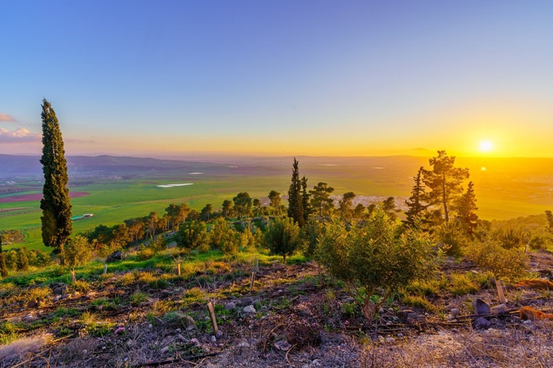 Sunset,View,Of,Countryside,In,The,Jezreel,Valley,,With,Pines זריחה בעמק יזרעאל (צילום: RnDmS / Shutterstock)