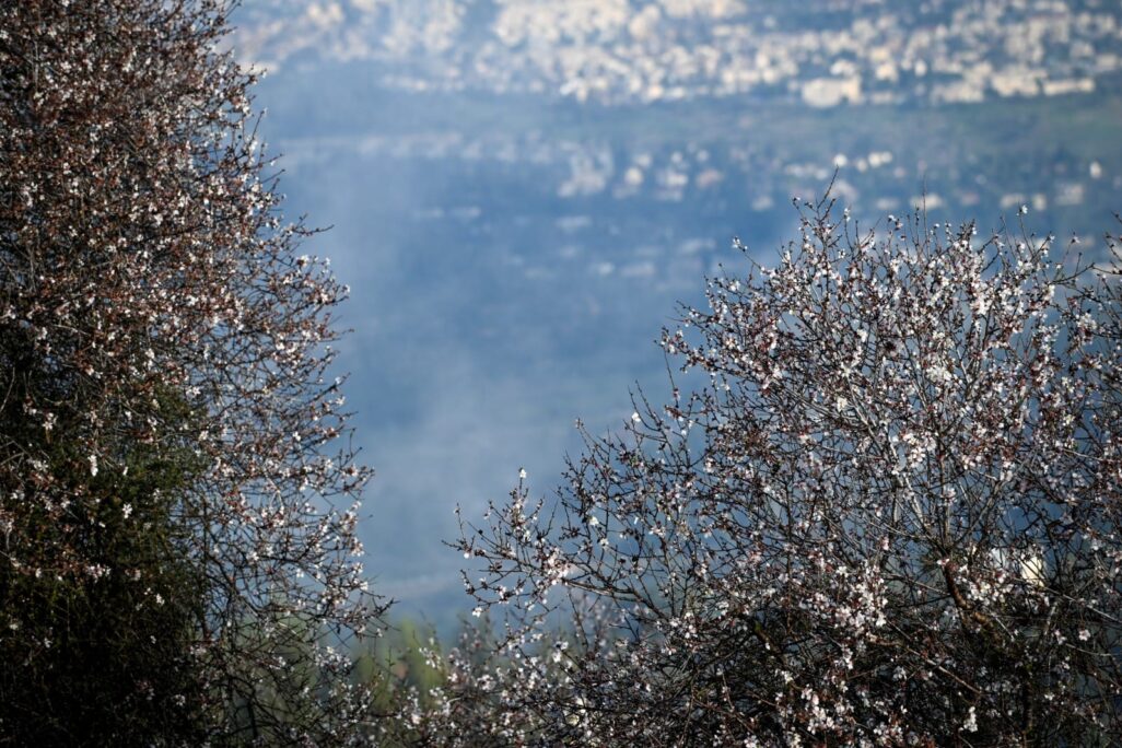 חורף בירושלים (צילום ארכיון: אור גואטה) חורף בירושלים (צילום ארכיון: אור גואטה)