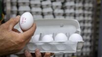 ביצים בסופרמרקט בירושלים (צילום אילוסטרציה: אוליבר פיטוסי / פלאש 90)