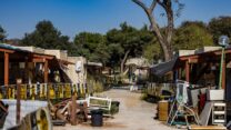 בתים הרוסים בקיבוץ כפר עזה (צילום: חיים גולדברג/ פלאש90)