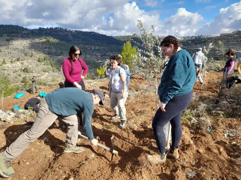 נטיעות עצי זית ביהודה ושומרון. "רוב בני האדם החיים בין הנהר לים פוגשים את הפנים האלימים של הדת. בדת יש קריאה לטוב אחווה לשלום" (צילום: ג'ייקוב לזרוס)