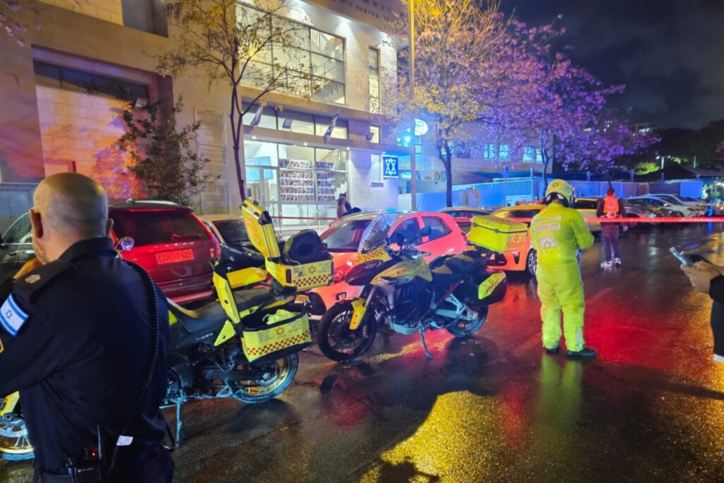 זירת הרצח בפתח תקווה (צילום: תיעוד מבצעי מד"א) זירת הרצח בפתח תקווה (צילום: תיעוד מבצעי מד"א)