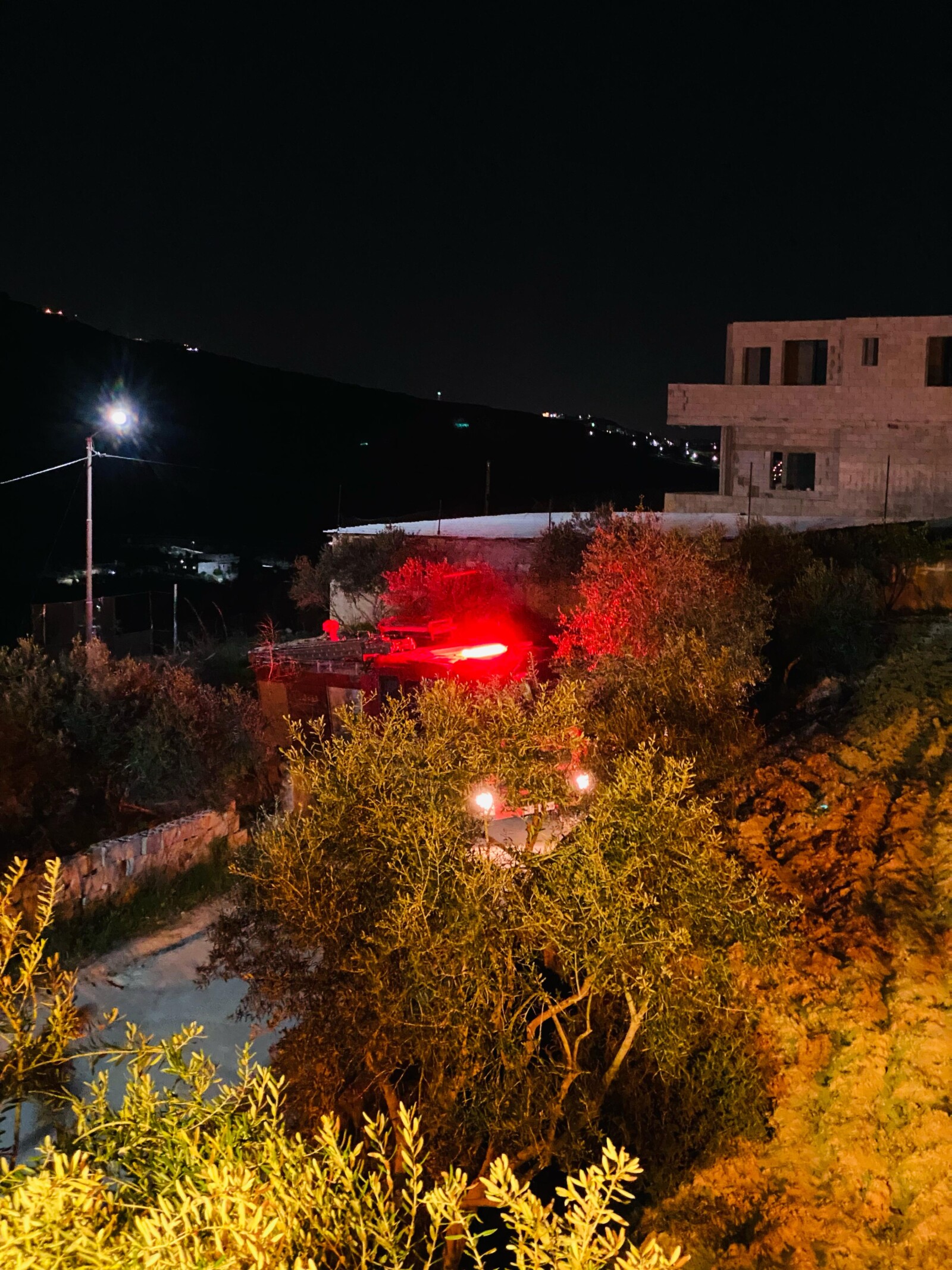 כוחות כיבוי האש בבורין (צילום: בשאר עיד)