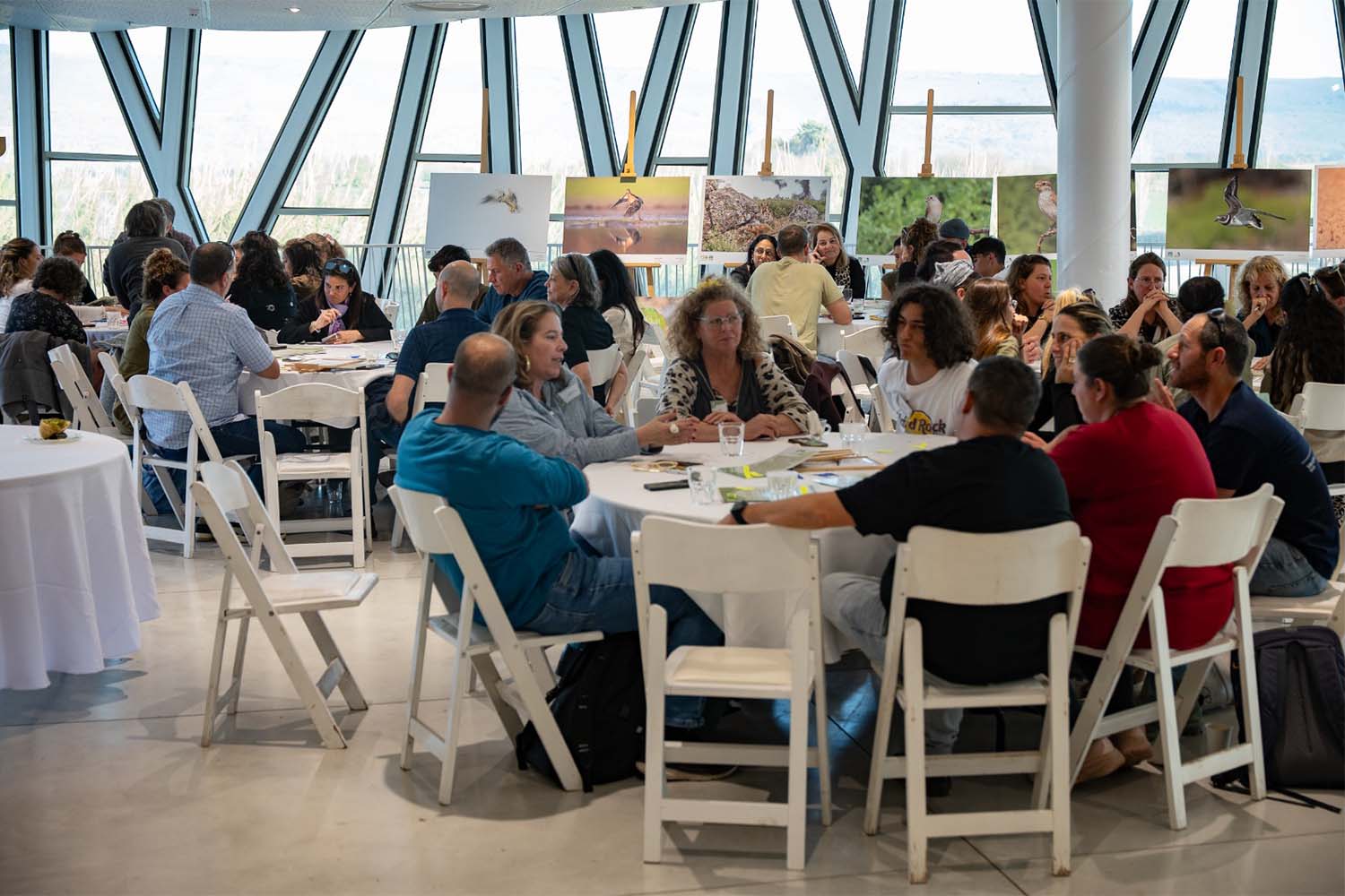 כנס ארגון מצפינים (צילום: ארז בן סימון)