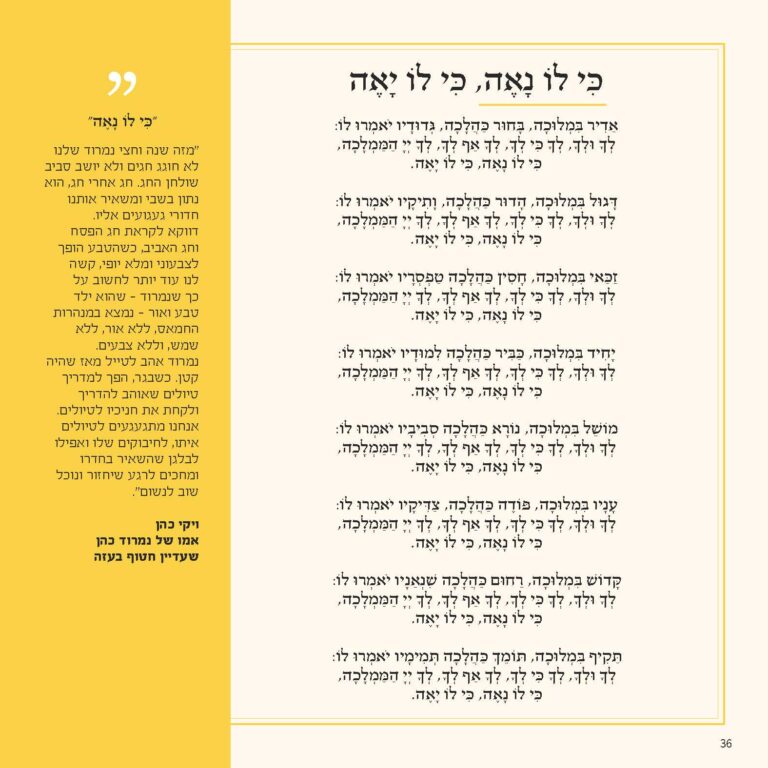הקטע שכתבה כהן מתוך 'הגדת החירות' (צילום: מטה החטופים)