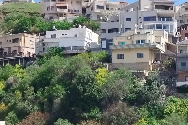 מבט על הכפר עין קיניא מגג בניין המועצה (צילום: יהל פרג')