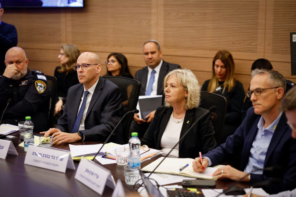גלי בהרב מיארה בוועדת החוקה (צילום: נועם מושקוביץ, דוברות הכנסת) גלי בהרב מיארה בוועדת החוקה (צילום: נועם מושקוביץ, דוברות הכנסת)