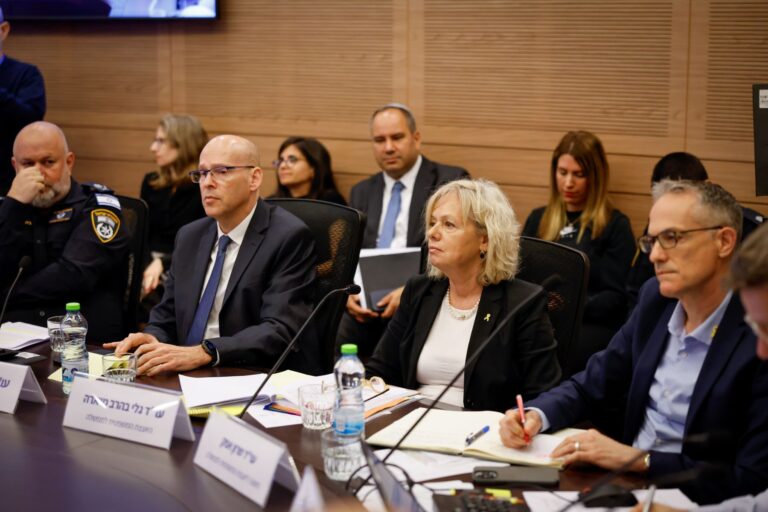 גלי בהרב מיארה בוועדת החוקה. "הכלי הייעודי שקבעה הכנסת לאירועים מסדר גודל זה, כבר לפני למעלה מחמישים שנה, הוא ועדת חקירה ממלכתית" (צילום: נועם מושקוביץ, דוברות הכנסת)