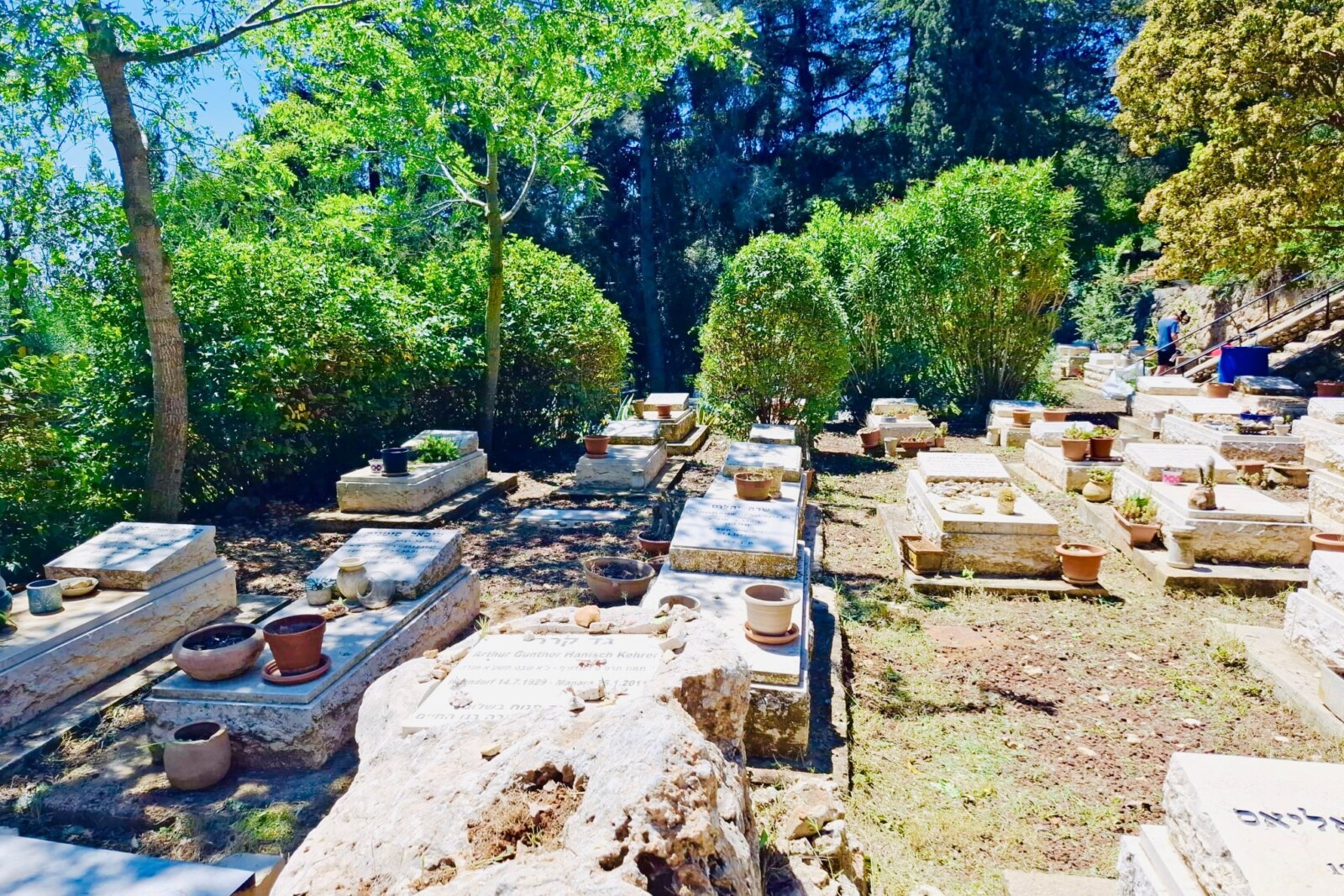 מתנדבים ניקשו עשבים, גזמו שיחים, שטפו קברים ופינו את הזבל שצה״ל השאיר אחריו (צילום: מיקי אהרוני)