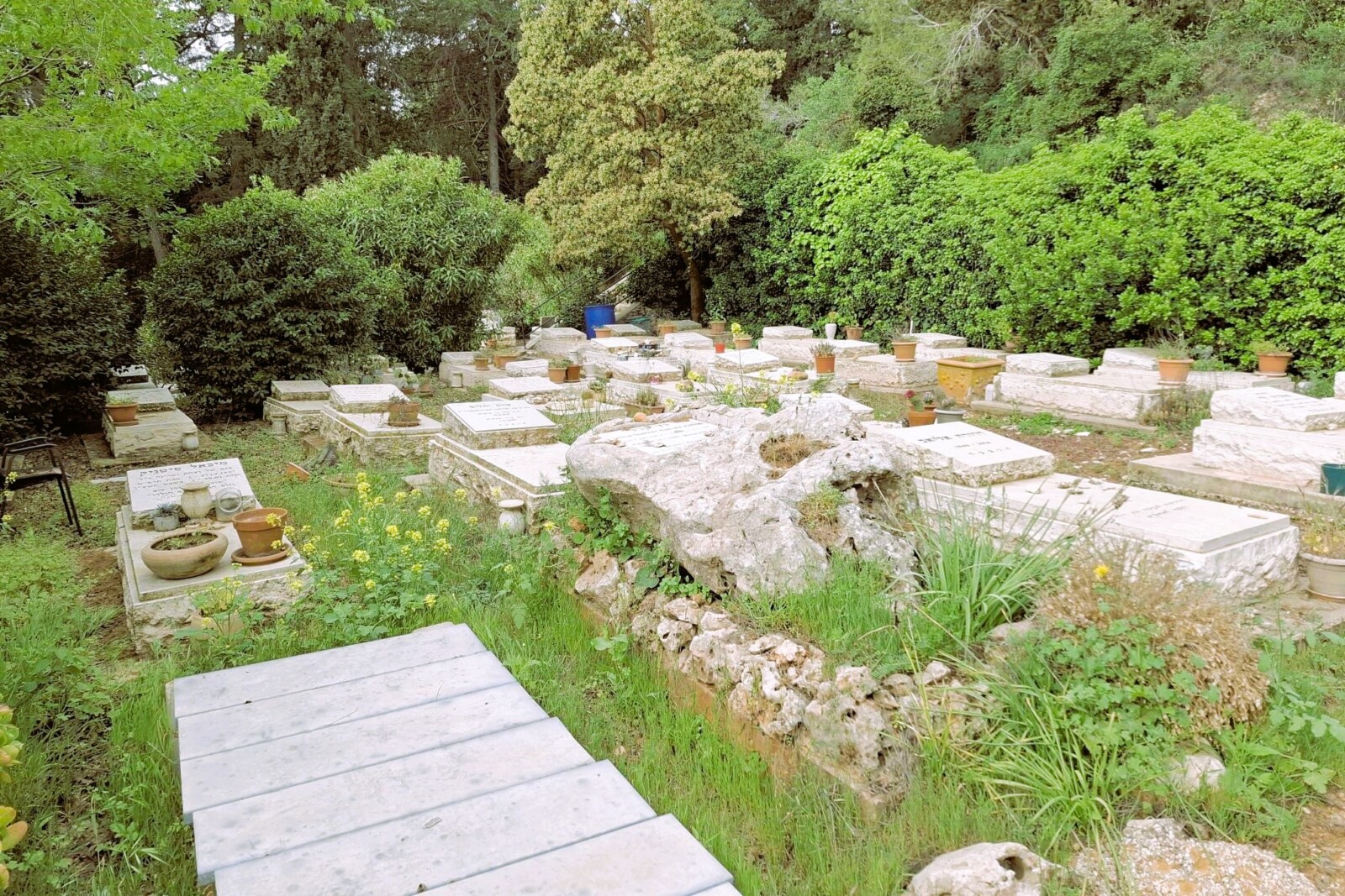 בית העלמין במנרה לאחר שנה וחצי של פינוי. "ראיתי שהכל עזוב" (צילום: מיקי אהרוני)