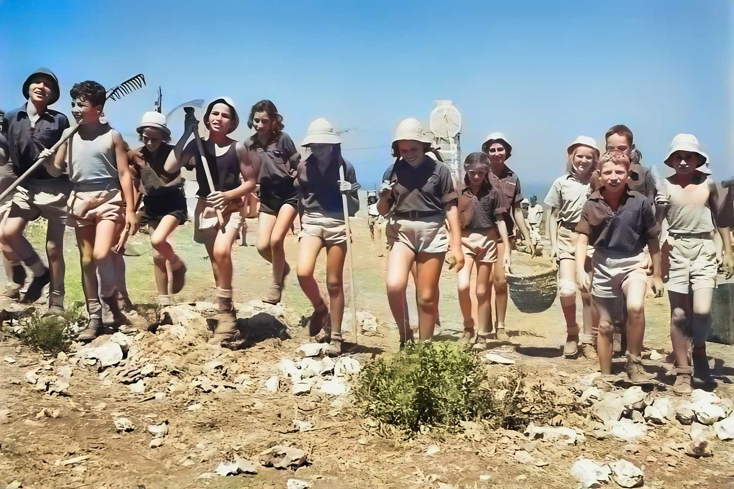מחנה הנוער העובד בהרי הכרמל בחיפה, 1945 (עיבוד מתמונה של זולטן קלוגר)