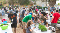 פסטיבל מדרום באופקים (צילום: יאיר מיוחס)